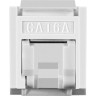 Модуль-вставка Keystone Jack RJ-45 EXEGATE KJ-8P8C-U-C6A-180SH-Dual